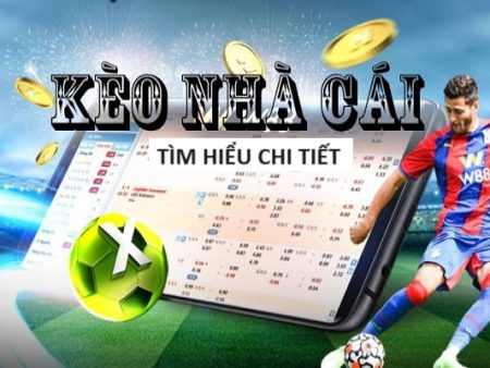 Cá Cược World Cup Chính Thức – FIFA Chứng Nhận