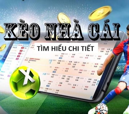Cá Cược World Cup Chính Thức – FIFA Chứng Nhận
