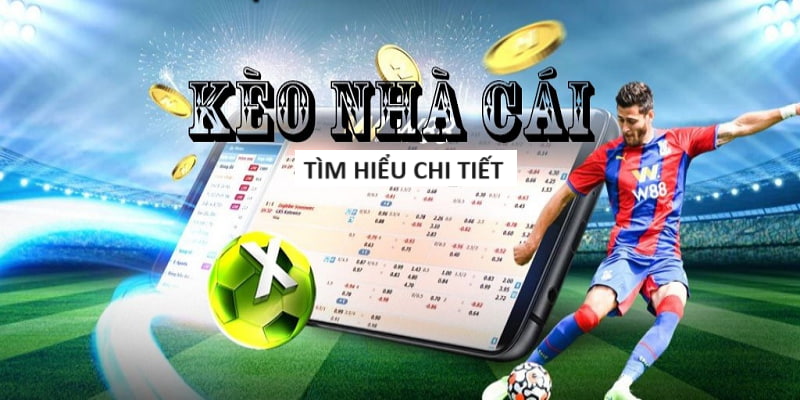 Cá Cược World Cup Chính Thức - FIFA Chứng Nhận